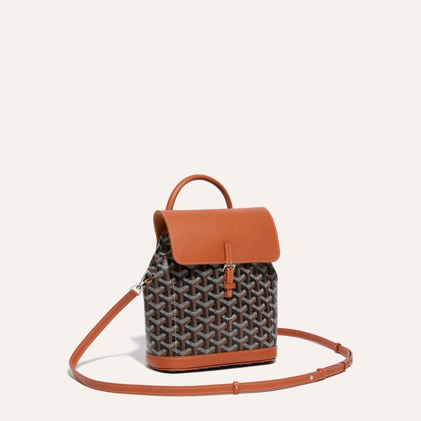 Goyard Alpin Mini Backpack Black & Tan - Image 4